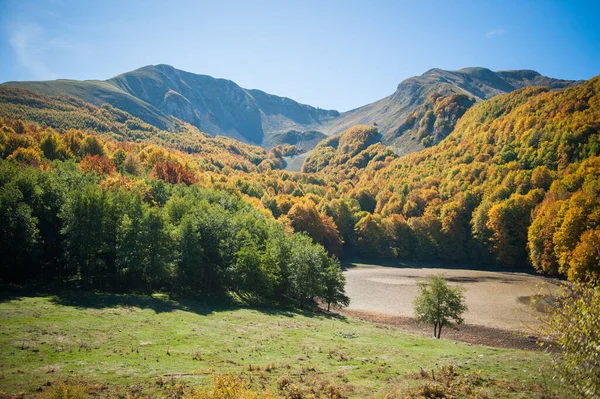 Wald Und See Der Herbstzeit Vollen Laub Gebirgstal Mit See — Stockfoto