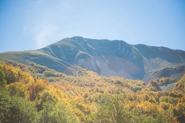 Listoví Lese Během Podzimní Sezóny Výbuch Barev Podzimním Lese — Stock fotografie