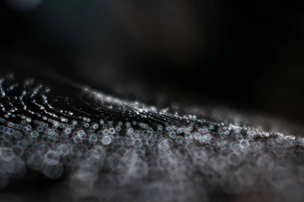 Dew Drops Cobweb — Stock Photo, Image