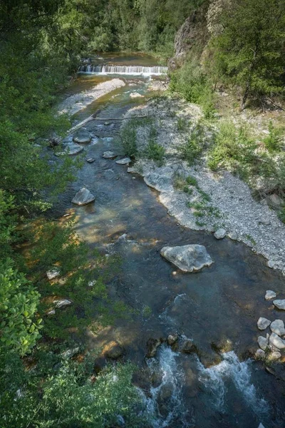 Rapids River Descends Mountains — Stock Photo, Image