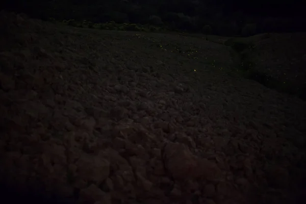 萤火虫在星空下的草地上 — 图库照片