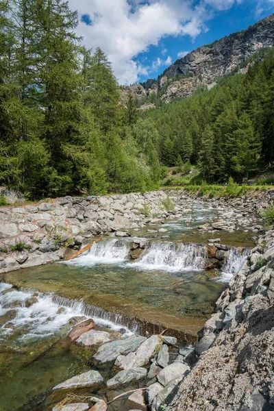 Corrente Alpina Que Atravessa Vale Floresta — Fotografia de Stock