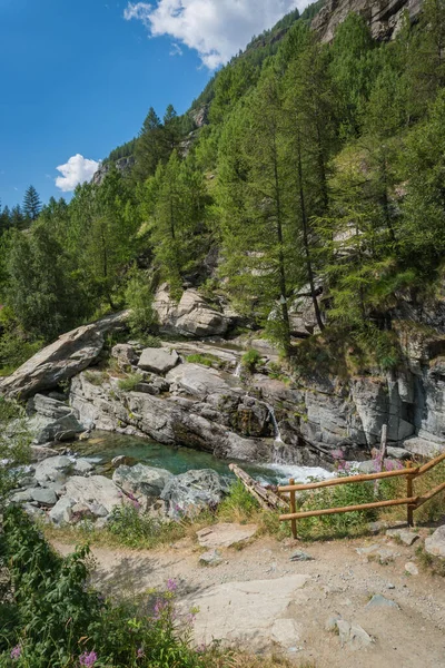 Alpský Potok Protékající Údolím Lesem — Stock fotografie