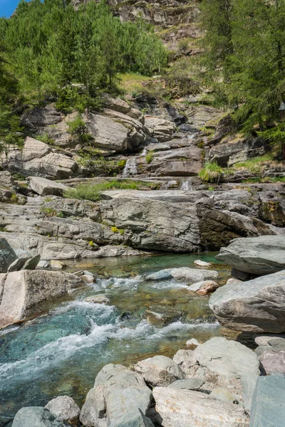 Ruisseau Alpin Traversant Vallée Forêt — Photo
