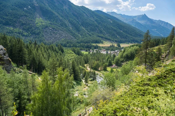 Alpenbeekje Door Het Dal Het Bos — Stockfoto