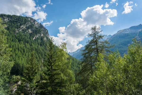 Valli Alpine Con Vista Sulle Cime Ghiacciai Pascoli — Foto Stock