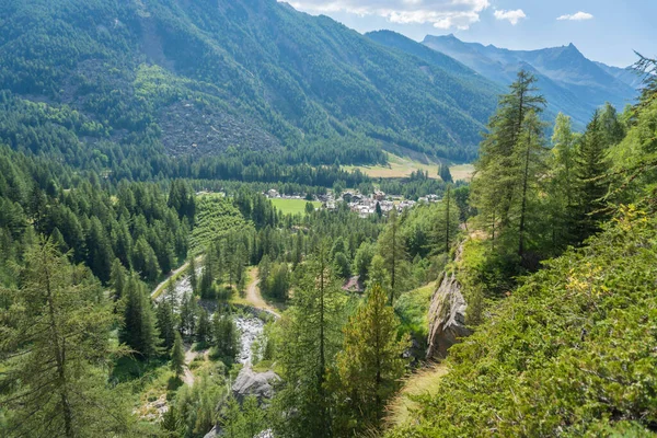 Bergsvandringsleder Alpina Dalar — Stockfoto