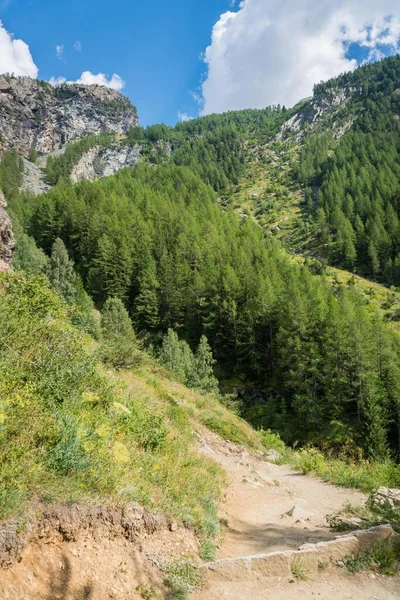 Caminho Caminhada Montanha Nos Vales Alpinos — Fotografia de Stock