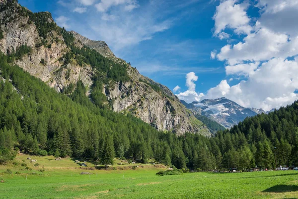 Valli Alpine Con Vista Sulle Cime Ghiacciai Pascoli — Foto Stock