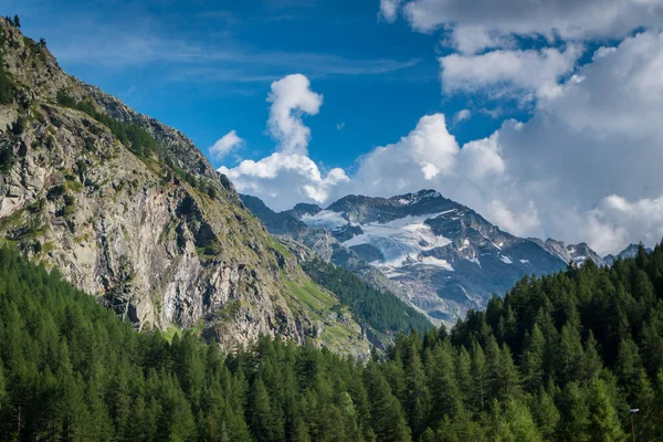 Альпийские Долины Видом Вершины Ледники Пастбища — стоковое фото