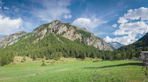 Alpendalen Met Uitzicht Bergtoppen Gletsjers Weilanden — Stockfoto