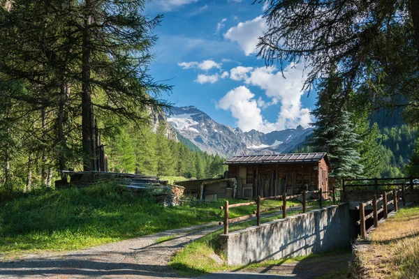 Valle Alpina Con Edifici Vista Sul Paese — Foto Stock