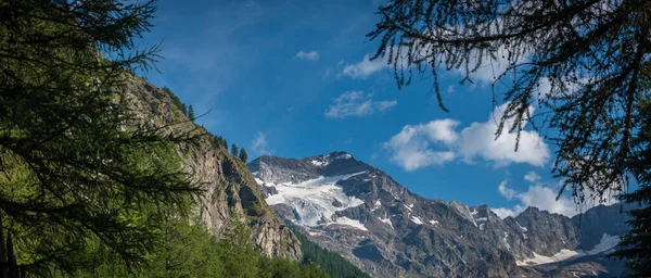 Valles Alpinos Con Vistas Los Picos Glaciares Pastos — Foto de Stock