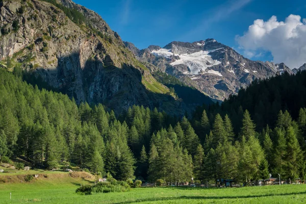 Alpendalen Met Uitzicht Bergtoppen Gletsjers Weilanden — Stockfoto