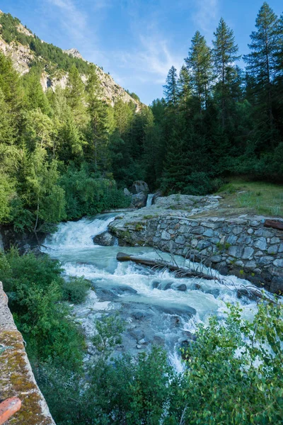 Alpský Potok Protékající Údolím Lesem — Stock fotografie