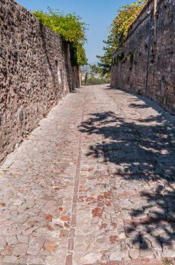 Umbria İtalya 'da bir ortaçağ kasabasının tarihi merkezinde dekoratif çiçeklerle dolu bir sokak.