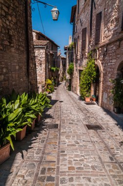 Umbria İtalya 'da bir ortaçağ kasabasının tarihi merkezinde dekoratif çiçeklerle dolu bir sokak.