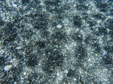 Temiz ve sığ sularda taşlı deniz yatağı