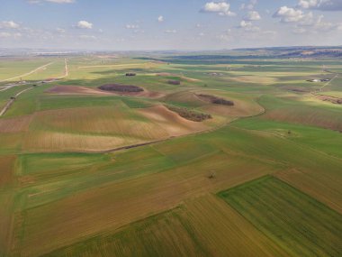 İlkbaharda filizlenen tarlalar