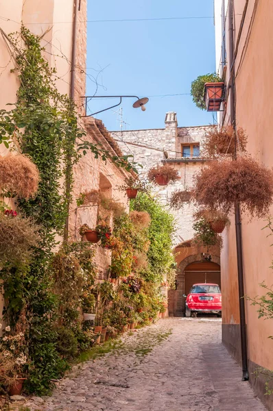 Umbria Talya Bir Ortaçağ Kasabasının Tarihi Merkezinde Dekoratif Çiçeklerle Dolu — Stok fotoğraf