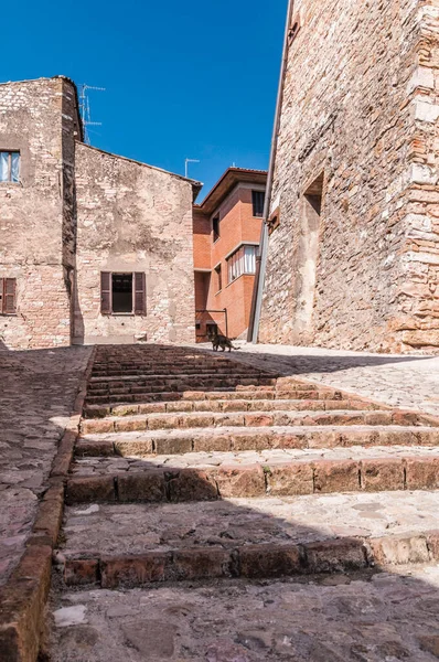 이탈리아 움브리아의한 도시의 역사적 중심지에 장식용 — 스톡 사진