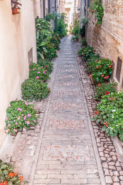 alley with decorative flowers in the historic center of a medieval town in Umbria Italy