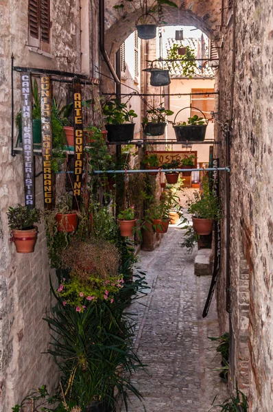 Umbria Talya Bir Ortaçağ Kasabasının Tarihi Merkezinde Dekoratif Çiçeklerle Dolu — Stok fotoğraf