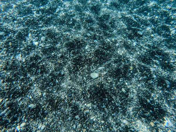 Temiz Sığ Sularda Taşlı Deniz Yatağı — Stok fotoğraf