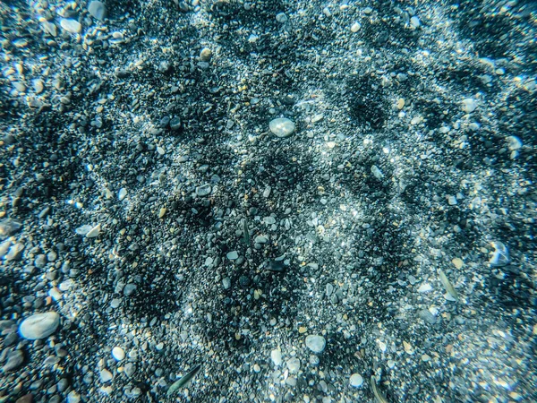 透明度の高い浅海の石の海底で — ストック写真