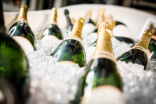 Champagne Bottle Ice Night Club — Stock Photo, Image