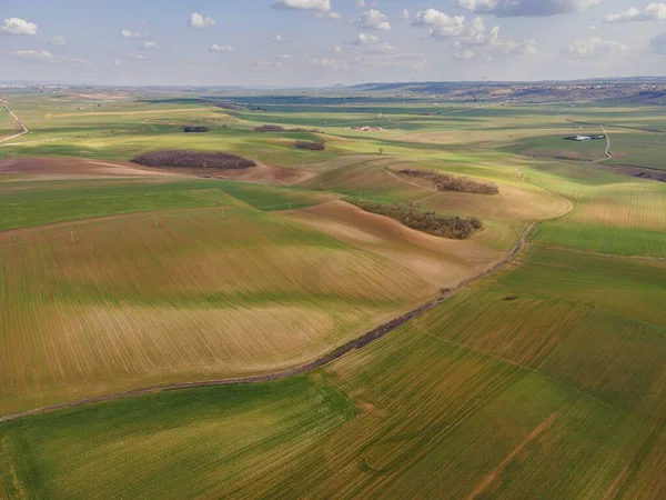 stock image plowed fields in spring with the first blooms of shoots