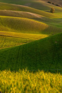 Ekilmiş tepeler güneşte parlar