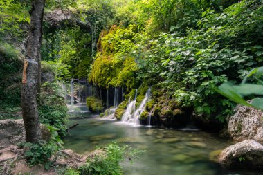 Ormanın içinde kayıp şelale, gerçekten büyüleyici bir yer.