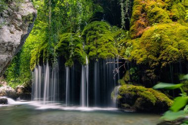 Ormanın içinde kayıp şelale, gerçekten büyüleyici bir yer.