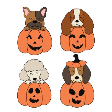 Bir grup izole komik köpek Cadılar Bayramı