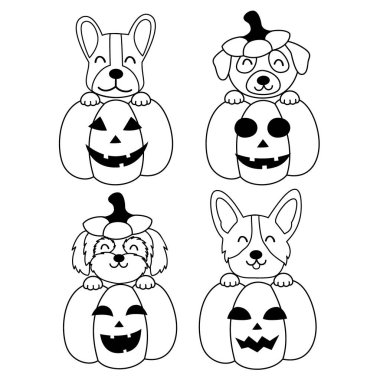 Bir grup izole köpek şirin balkabağı cadılar bayramı 