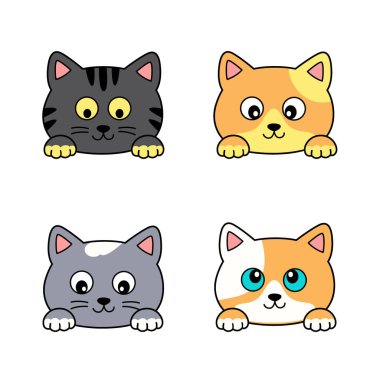 İzole edilmiş şirin kedi yüzleri.