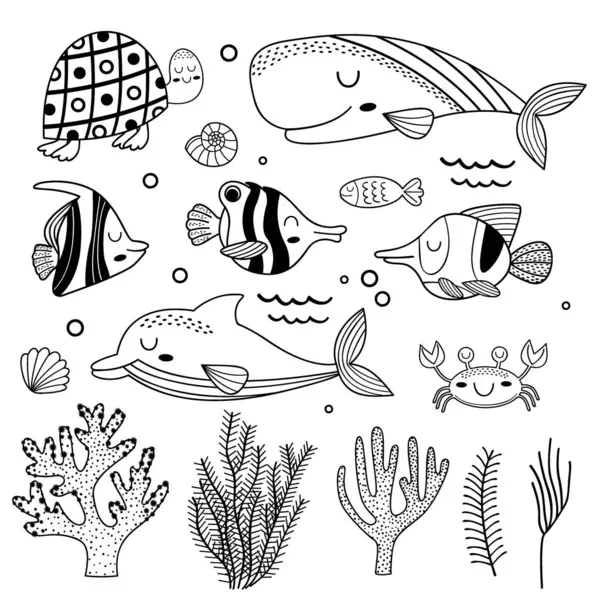 Deniz hayvanları ve bitkilerle izole edilmiş bir set.