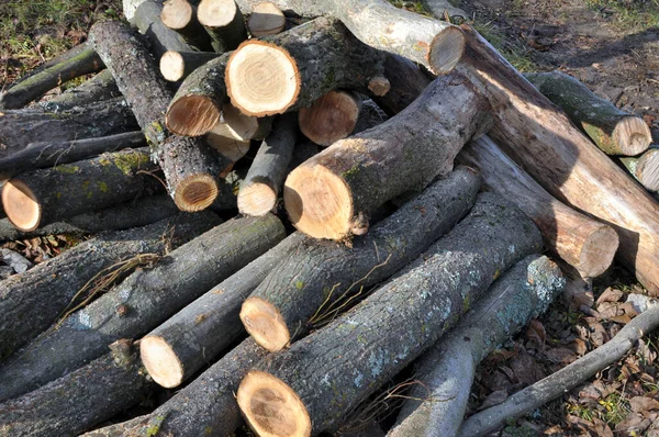Hromadě Kousků Dřeva Vyřezaného Dřeva Topení — Stock fotografie