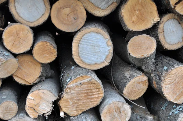Einem Holzstapel Der Zum Heizen Brennholz Geschnitten Wurde — Stockfoto