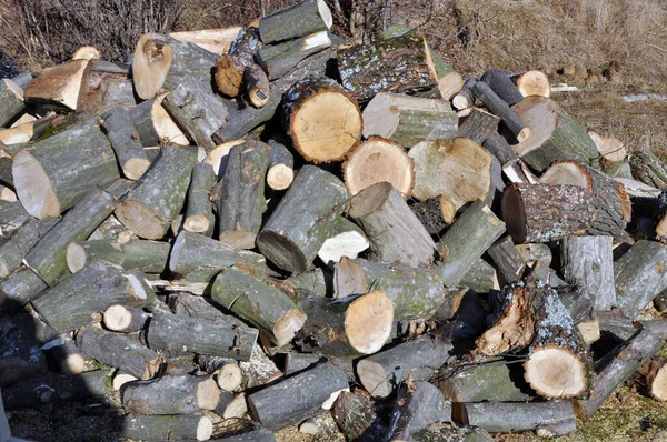 Pile Pieces Wood Cut Firewood Heating — Stockfoto