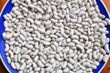 Kuru fasulye hasadının arka planı