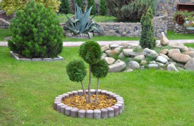 Bahçedeki peyzaj, park, meydan, dinlenme alanındaki modern tasarım parçaları.