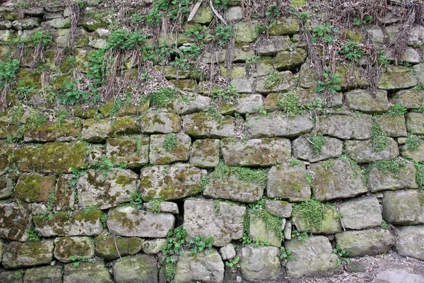 古石墙和植被的背景 — 图库照片