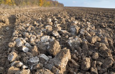 Sonbahar tarlasında toprak kayalarıyla saban sürmek