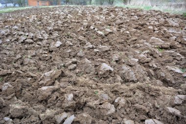 Sonbahar tarlasında toprak kayalarıyla saban sürmek