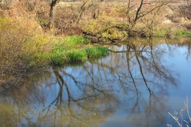 Ağaçlı sonbahar manzarası ve küçük bir nehir.