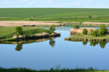 Küçük gölü ve yeşilliği olan yaz manzarası