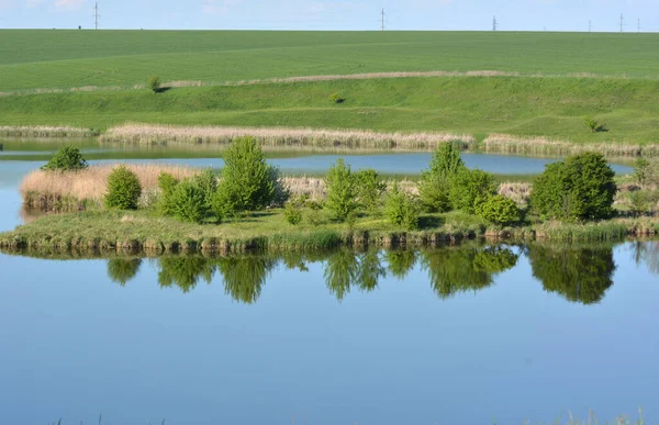 Летний Пейзаж Небольшим Озером Зеленью — стоковое фото
