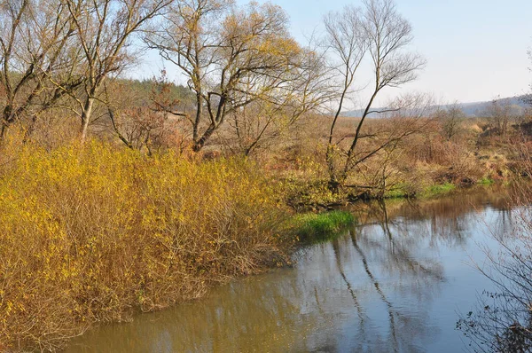 Herbstlandschaft Mit Bäumen Und Einem Kleinen Fluss — Stockfoto